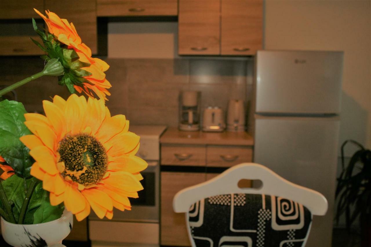 Casa Peterfi - Apartment With 3 Bedrooms And Spacious Living Room Târgu-Mureş Extérieur photo